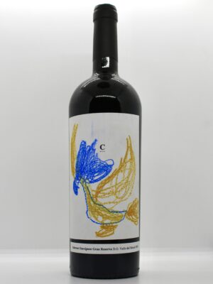 Colección Patroncitos XVII
