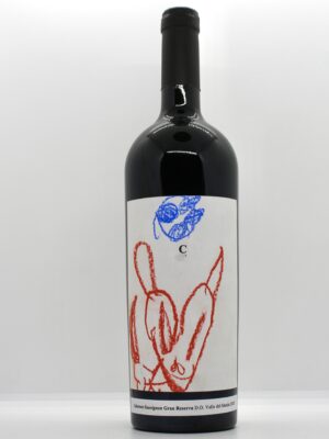 Colección Patroncitos XXXV