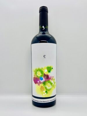 Colección Rosana Guajardo I