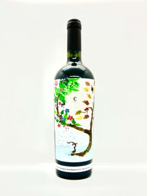 Colección Cristóbal Cisternas Araya VII
