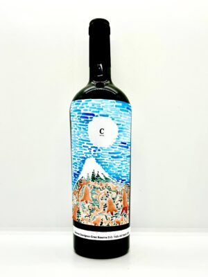 Colección Cristóbal Cisternas Araya XVII